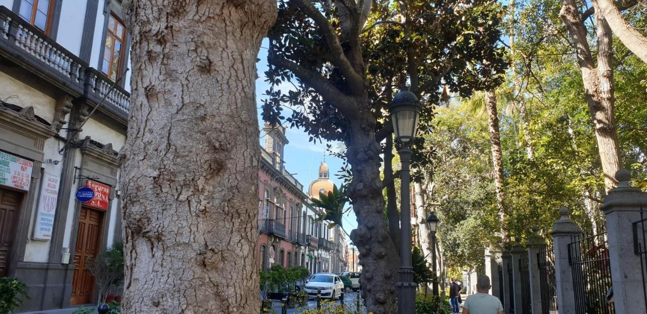 Casa Isabel Centro Historico Villa Арукас Екстериор снимка